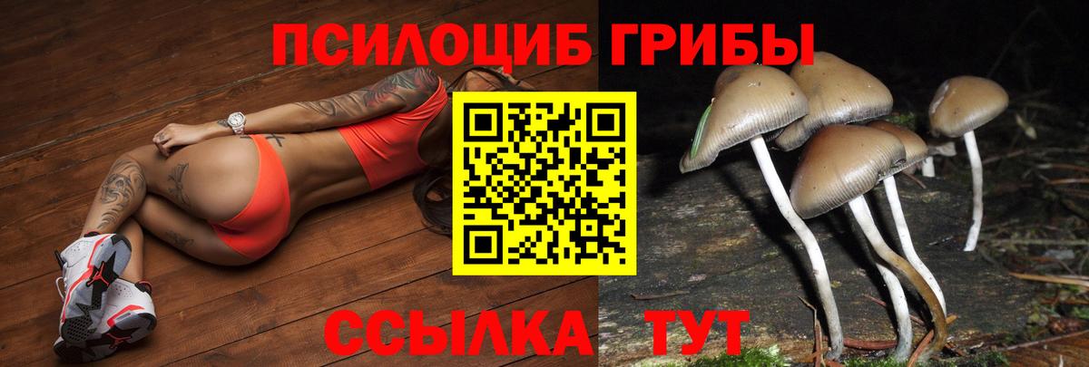 Псилоцибиновые грибы прущие грибы  что такое наркотик  Шебекино  Вход с VPN 